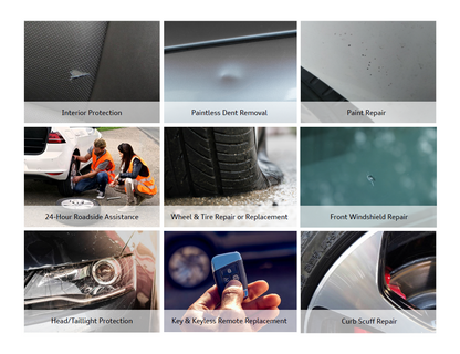 Audi Appearance Protection